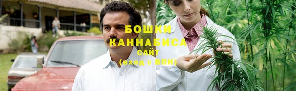 дмт Гусь-Хрустальный