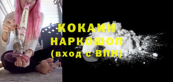 дмт Гусь-Хрустальный