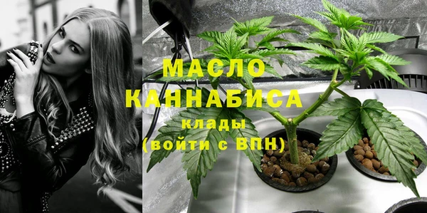 дмт Гусь-Хрустальный