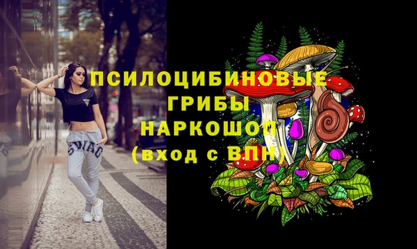 а пвп мука Гусев