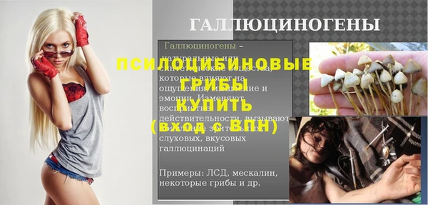 дживик Усинск