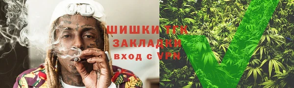 дмт Гусь-Хрустальный