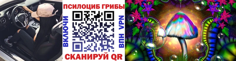 как найти закладки  Обоянь  Псилоцибиновые грибы MAGIC MUSHROOMS 